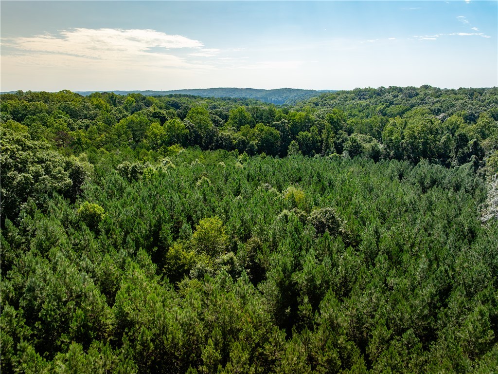2 Bayshore Drive Seneca, SC 29672 - Photo 14 of 22