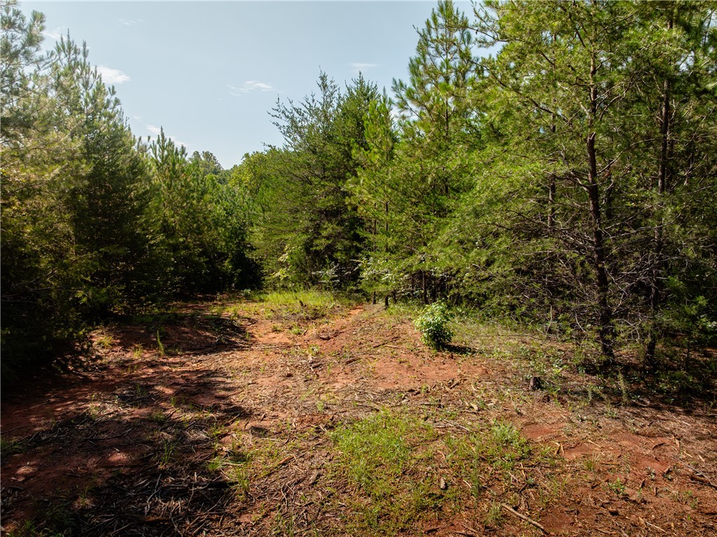 2 Bayshore Drive Seneca, SC 29672 - Photo 17 of 22