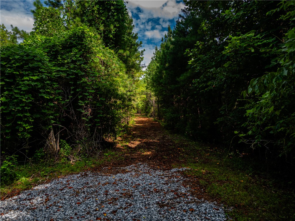 2 Bayshore Drive Seneca, SC 29672 - Photo 19 of 22