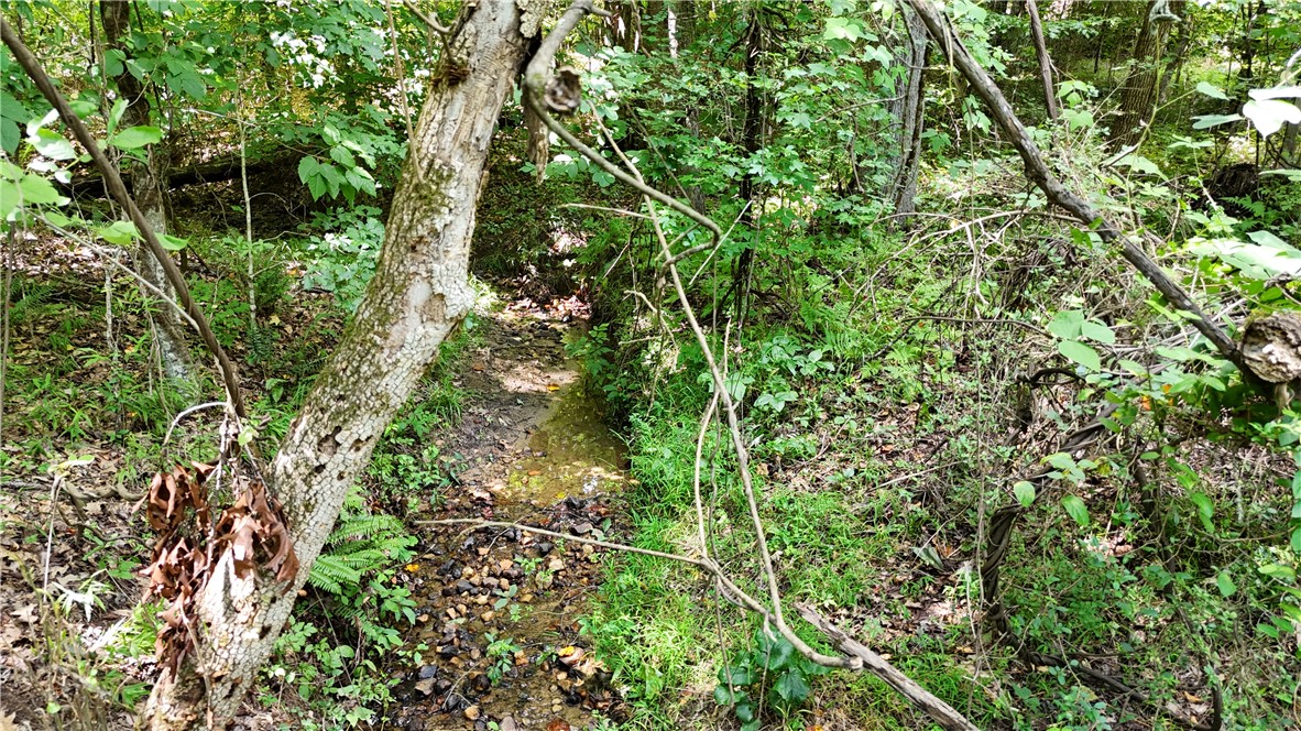 2 Bayshore Drive Seneca, SC 29672 - Photo 22 of 22 Two creeks on property