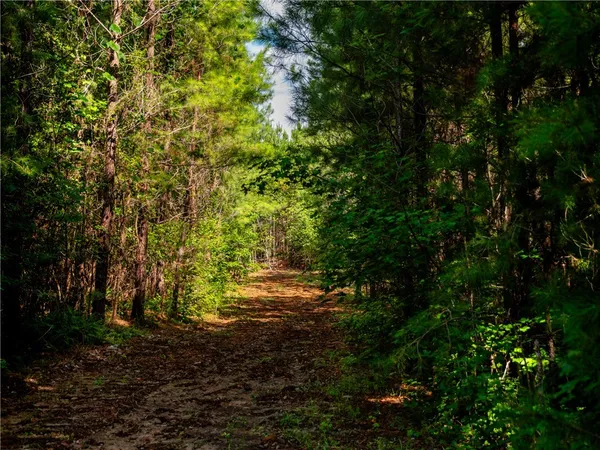 $699,000 | 2 Bayshore Drive, Seneca, SC 29672