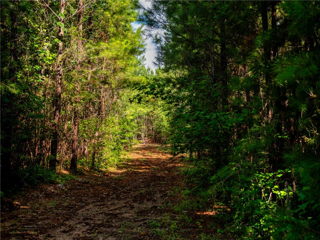 2 Bayshore Drive Seneca, SC 29672 - Photo 3 of 22
