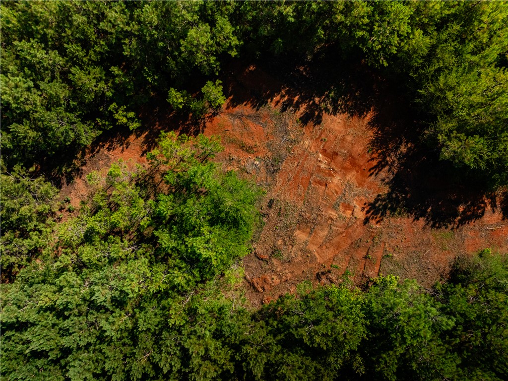 2 Bayshore Drive Seneca, SC 29672 - Photo 4 of 22