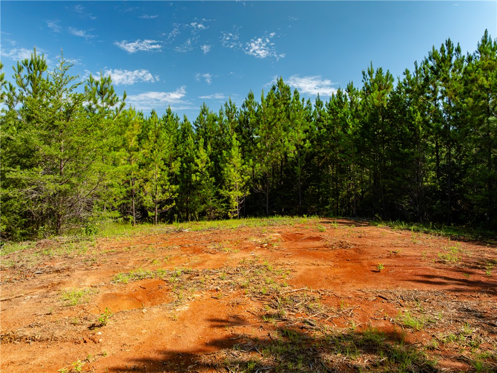 2 Bayshore Drive Seneca, SC 29672 - Photo 5 of 22
