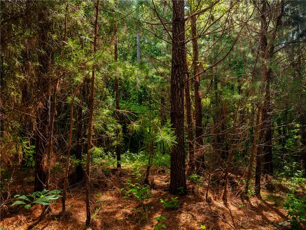 $699,000 | 2 Bayshore Drive, Seneca, SC 29672