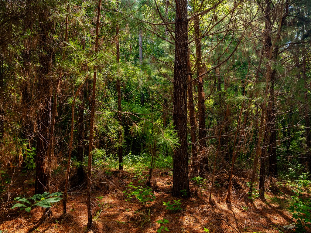 2 Bayshore Drive Seneca, SC 29672 - Photo 6 of 22