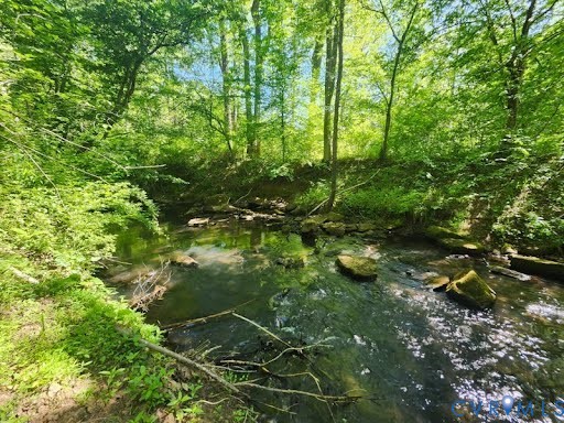 0 Chellowe Road Dillwyn, VA 23936 - Photo 5 of 9