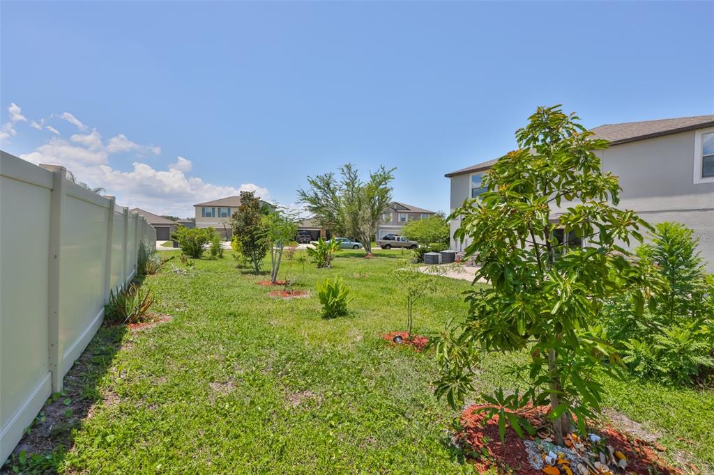 11503 Sage Canyon Dr. Riverview, FL 33578 - Photo 44 of 61