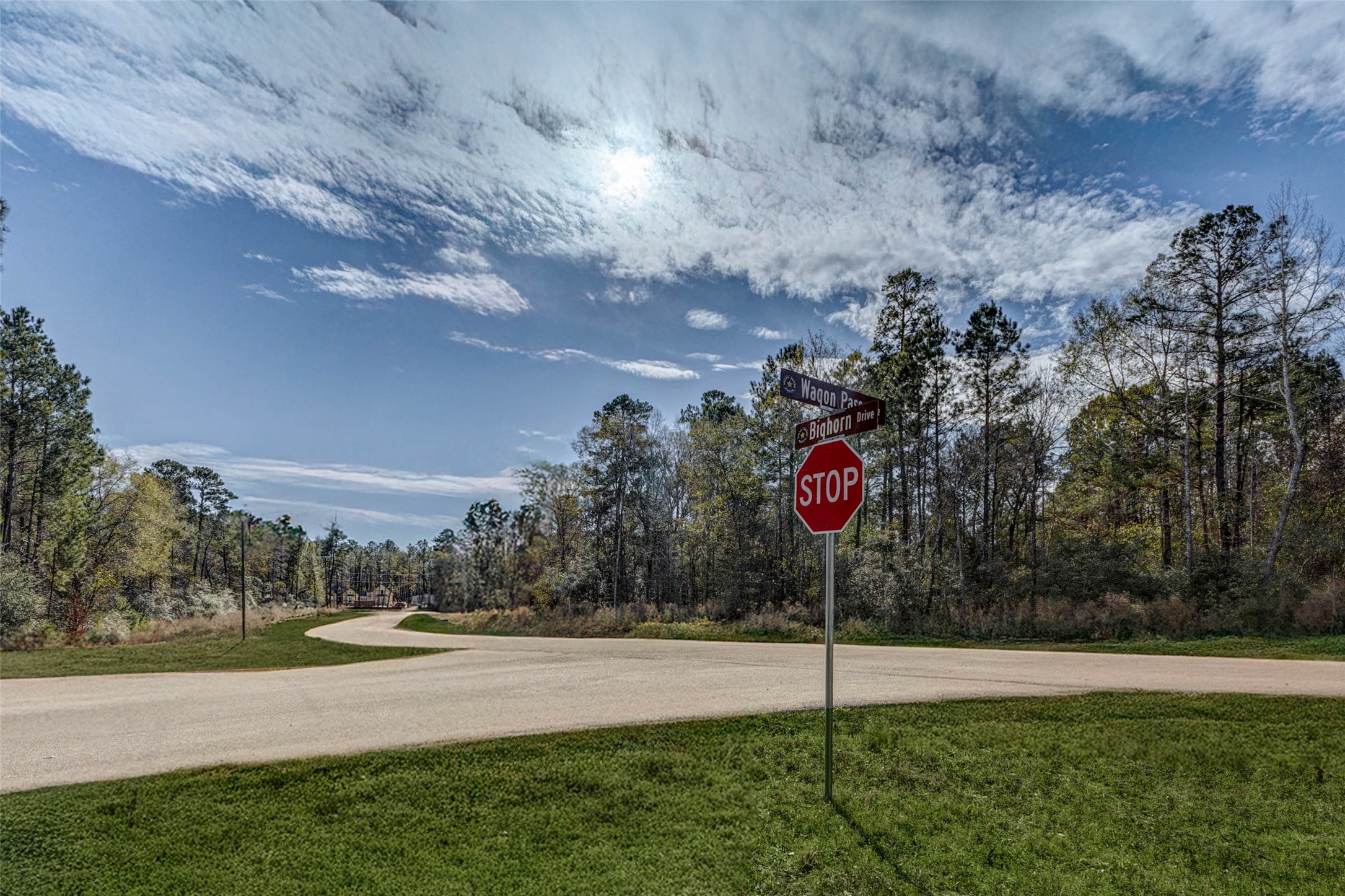 0 Bighorn Road Huntsville, TX 77340 - Photo 5 of 22 The intersection of Bighorn Drive and Wagon Pass marks the gateway to the homesite. This charming roadside view with clear signage and a winding road ahead perfectly captures the tranquil pace of life in this forested community.