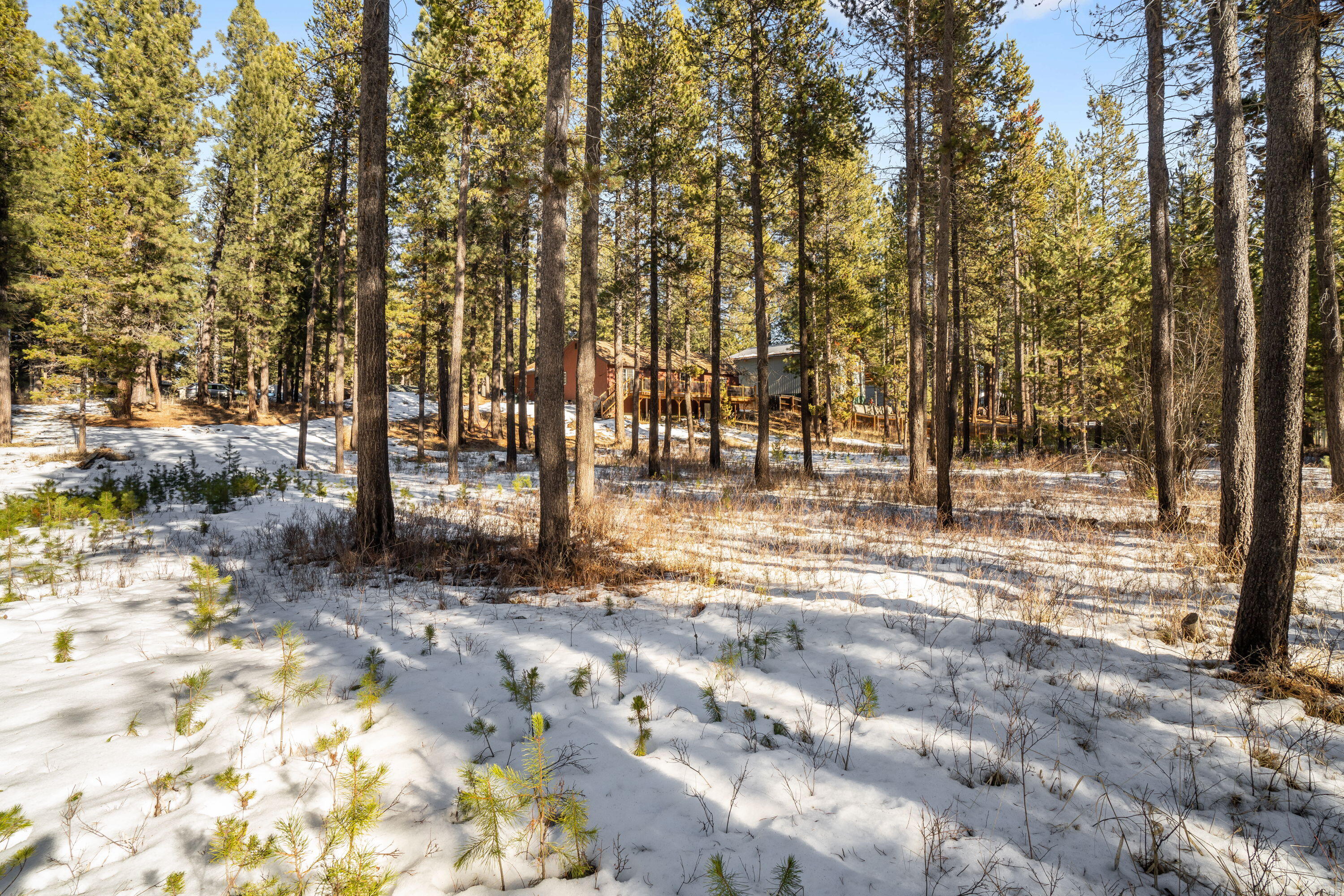 17137 Oxnard Road Bend, OR 97707 - Photo 33 of 36 36_JustinEwing_DSC6209