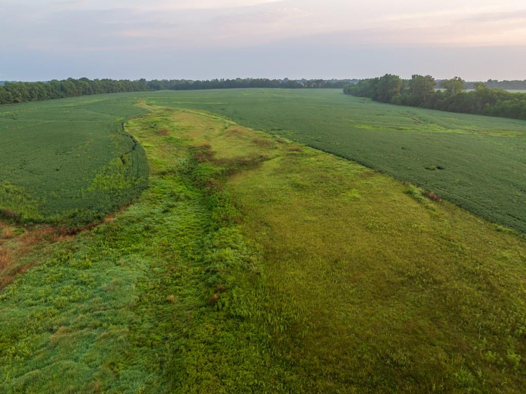 Tbd Southwest 1300 Road Chilhowee, MO 64733 - Photo 24 of 67 Gallery Image 24