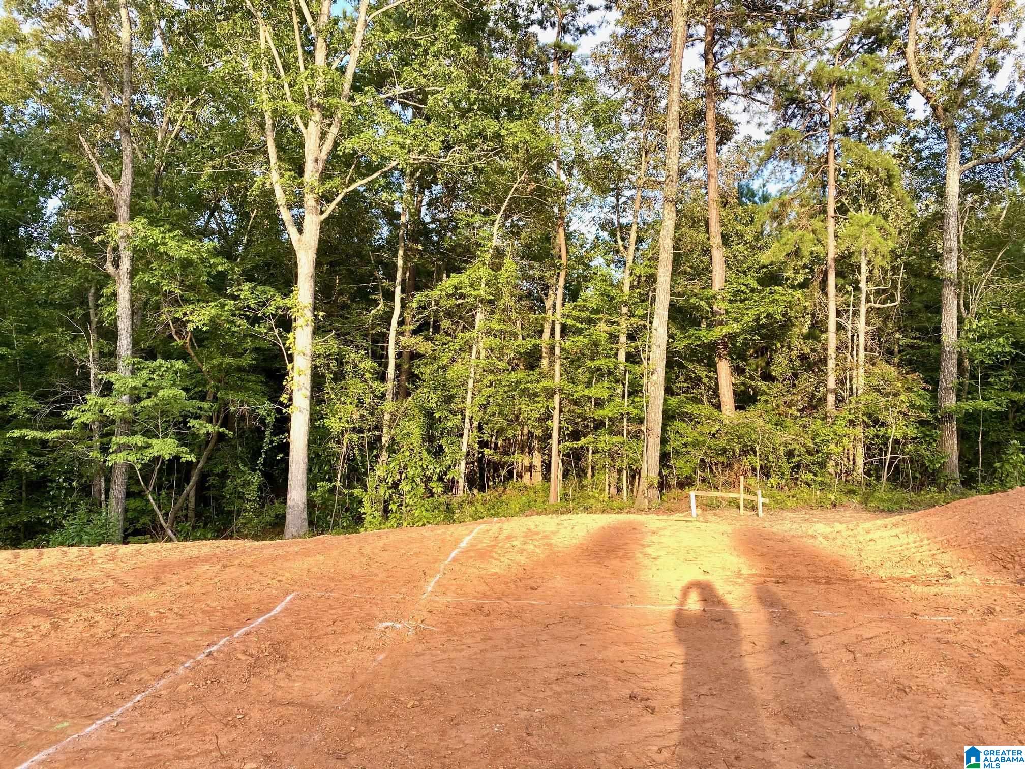 0 County Road 852, Unit 1 Ranburne, AL 36273 - Photo 3 of 11