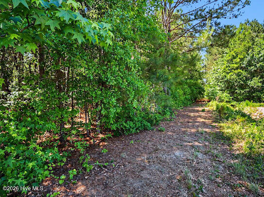 4.47-ac Purdy Matthews Road Wade, NC 28395 - Photo 22 of 25