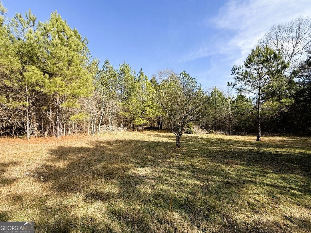 0 Stinchcomb Road Elberton, GA 30635 - Photo 1 of 16 a view of a yard with a tree