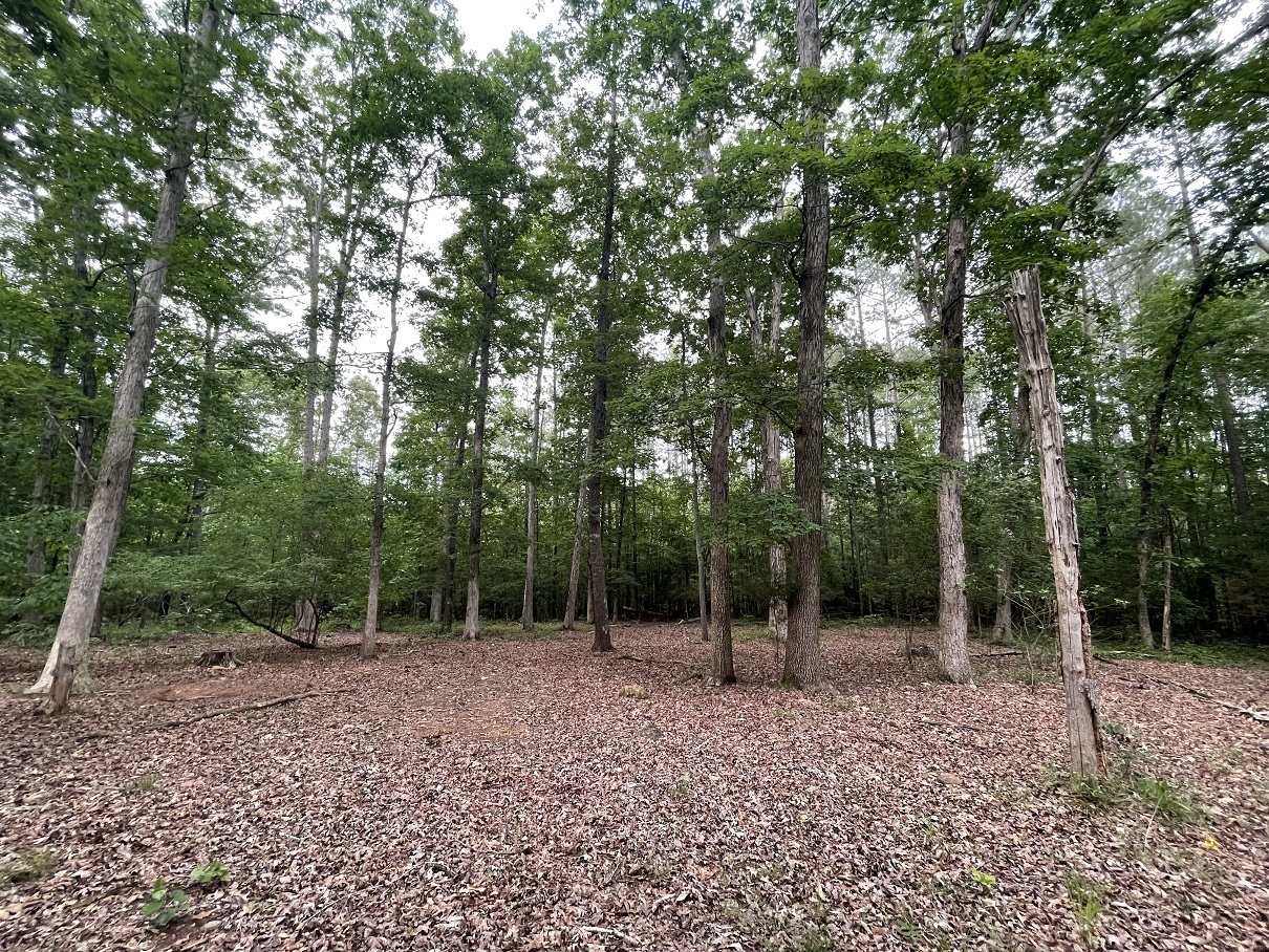 0 Stinchcomb Road Elberton, GA 30635 - Photo 16 of 16 a view of outdoor space with trees