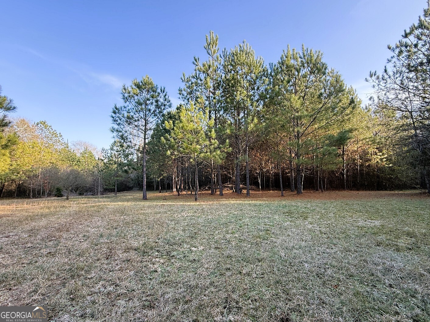 0 Stinchcomb Road Elberton, GA 30635 - Photo 2 of 16 a view of a field with trees in the background