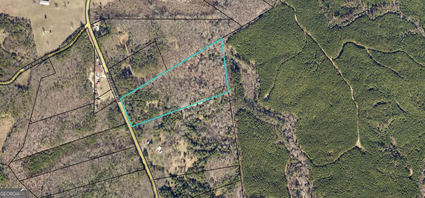 0 Stinchcomb Road Elberton, GA 30635 - Photo 5 of 16 a picture of a tree