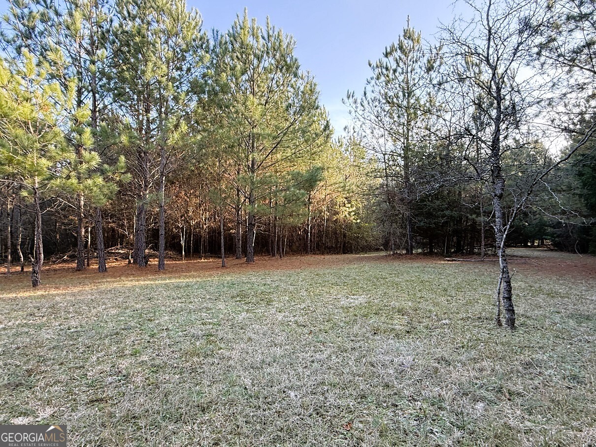 0 Stinchcomb Road Elberton, GA 30635 - Photo 6 of 16 a backyard of a house with lots of green space