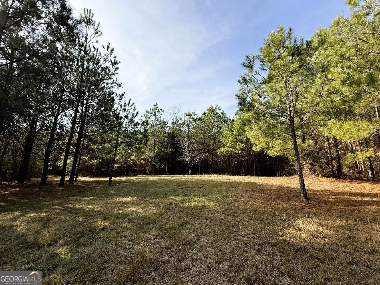 0 Stinchcomb Road Elberton, GA 30635 - Photo 8 of 16 a view of empty space with trees
