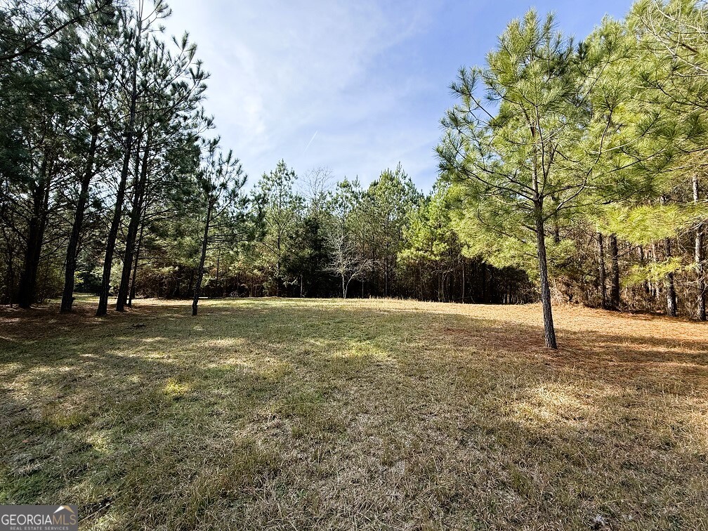 0 Stinchcomb Road Elberton, GA 30635 - Photo 9 of 16 a view of a tree in a yard
