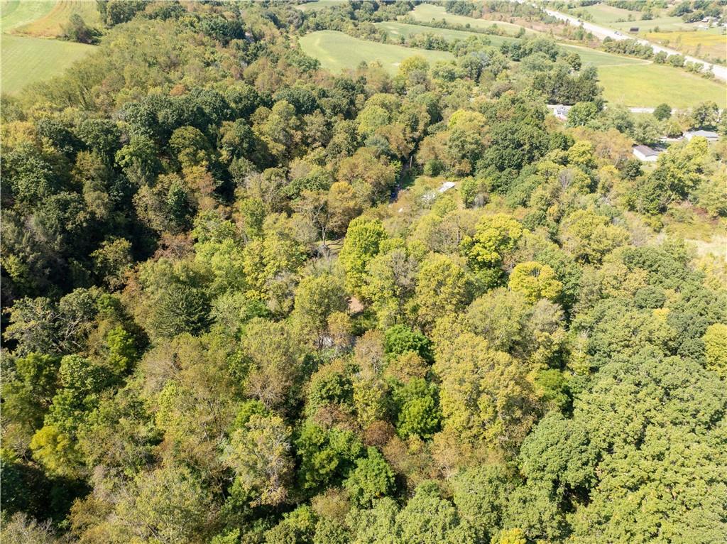 1409 Highway 989 Rochester, PA 15074 - Photo 15 of 17 a view of a bunch of trees and bushes