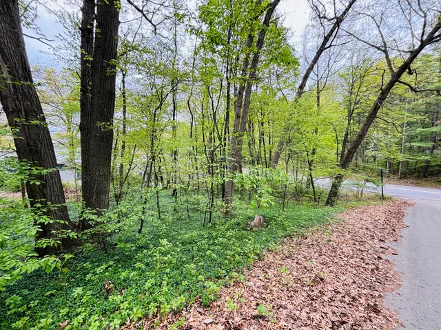 $30,000 | 12651 Maston Lake Drive, Sand Lake, MI 49343