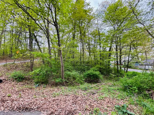 $30,000 | 12651 Maston Lake Drive, Sand Lake, MI 49343