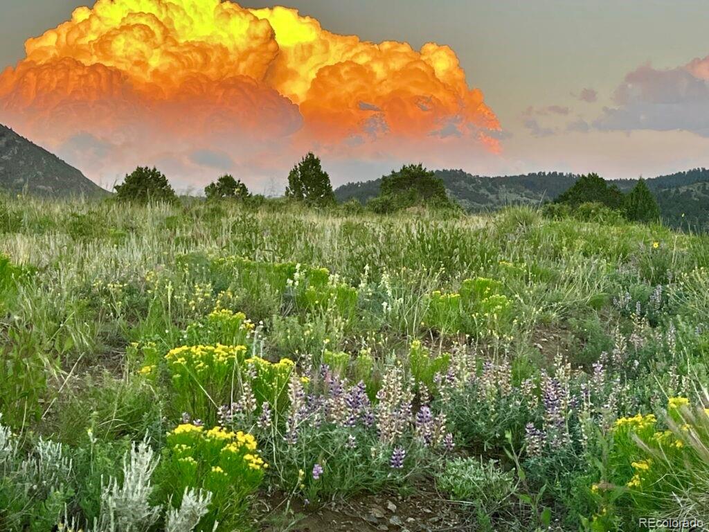 525 Brush Hollow Road Westcliffe, CO 81252 - Photo 13 of 21 a view of a city with lush green forest