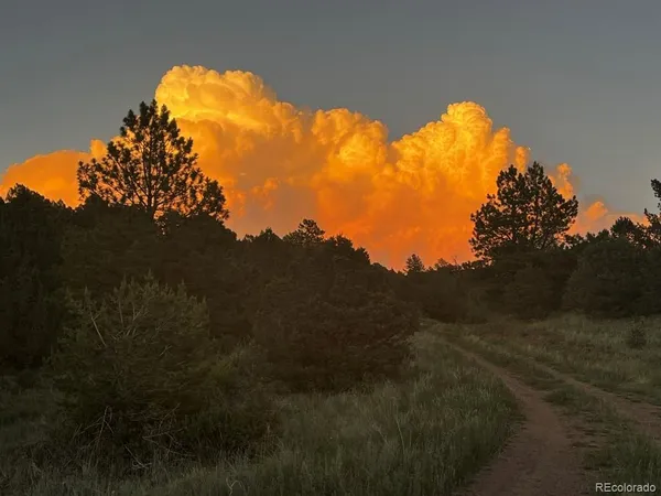 a view of lot of trees and valleys