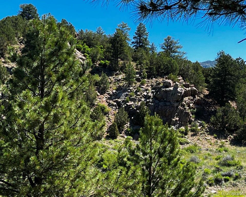 525 Brush Hollow Road Westcliffe, CO 81252 - Photo 4 of 21 a view of a house with a lush green forest