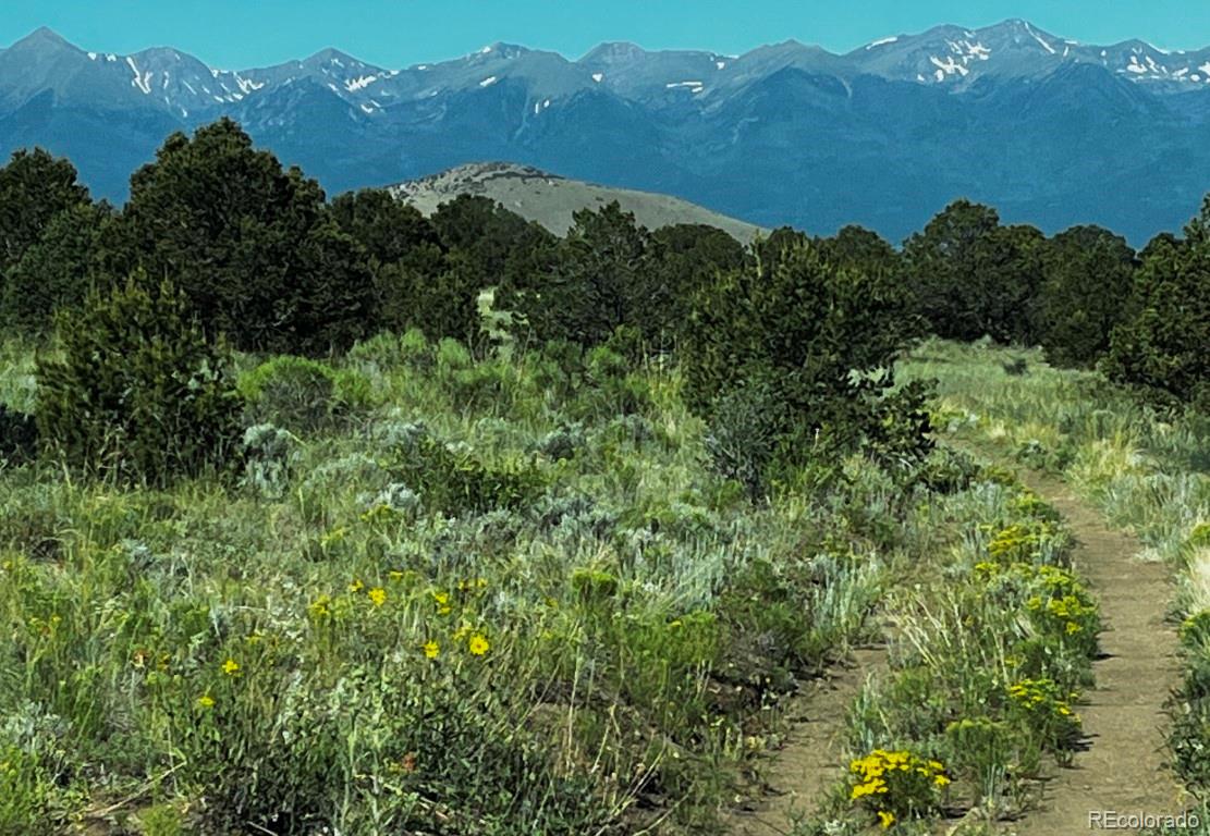 525 Brush Hollow Road Westcliffe, CO 81252 - Photo 6 of 21 an aerial view of houses covered in trees