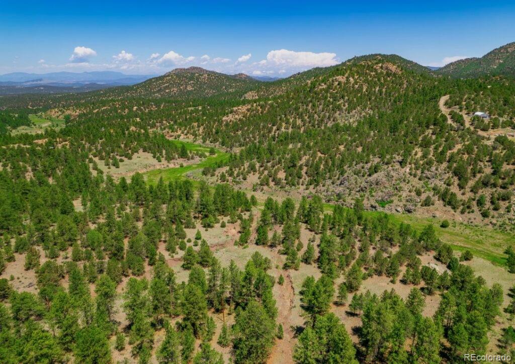 525 Brush Hollow Road Westcliffe, CO 81252 - Photo 7 of 21 a view of a lush green forest with lots of trees