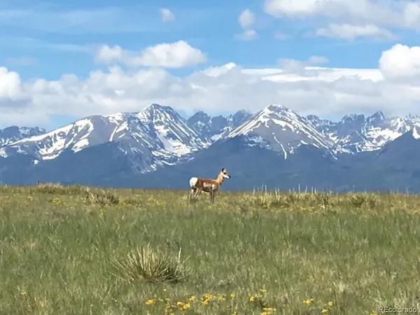 a view of a lake in middle of the forest