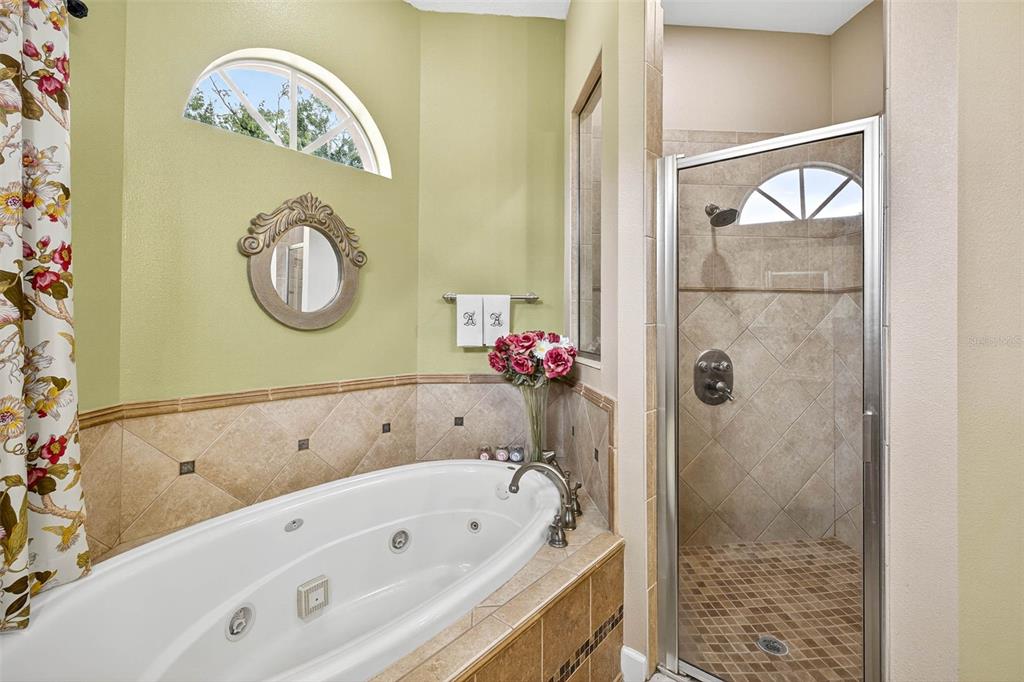 13887 Gavin Road Dover, FL 33527 - Photo 38 of 74 a bathroom with a bathtub and a shower
