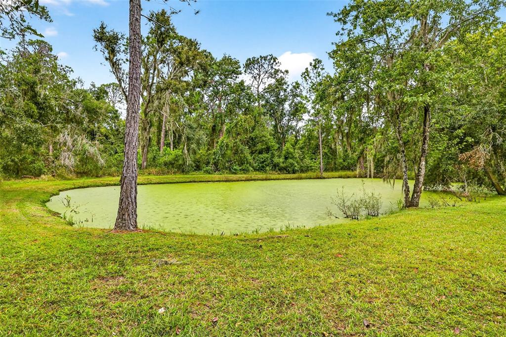 13887 Gavin Road Dover, FL 33527 - Photo 63 of 74