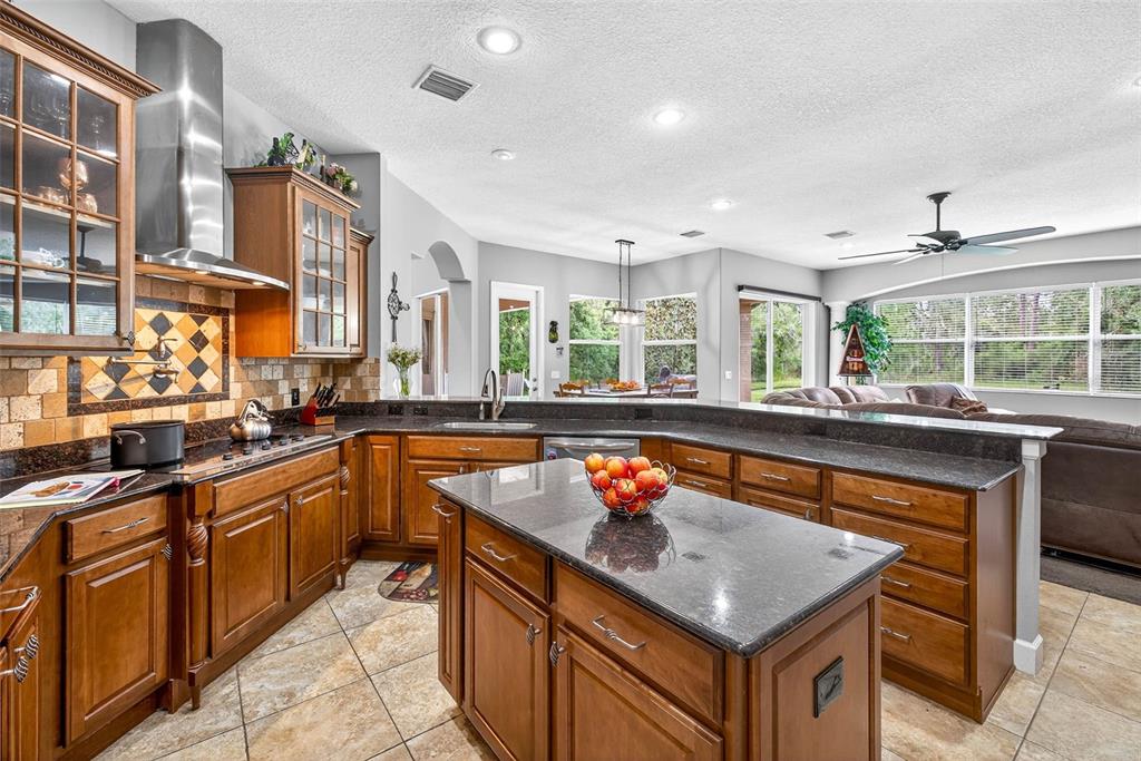13887 Gavin Road Dover, FL 33527 - Photo 10 of 74 a kitchen with stainless steel appliances granite countertop a sink and a large window