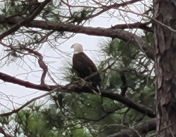 a backyard of a house