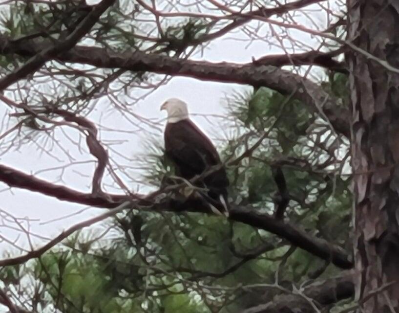 7 Virgo Street Santa Rosa Beach, FL 32459 - Photo 3 of 6 a backyard of a house
