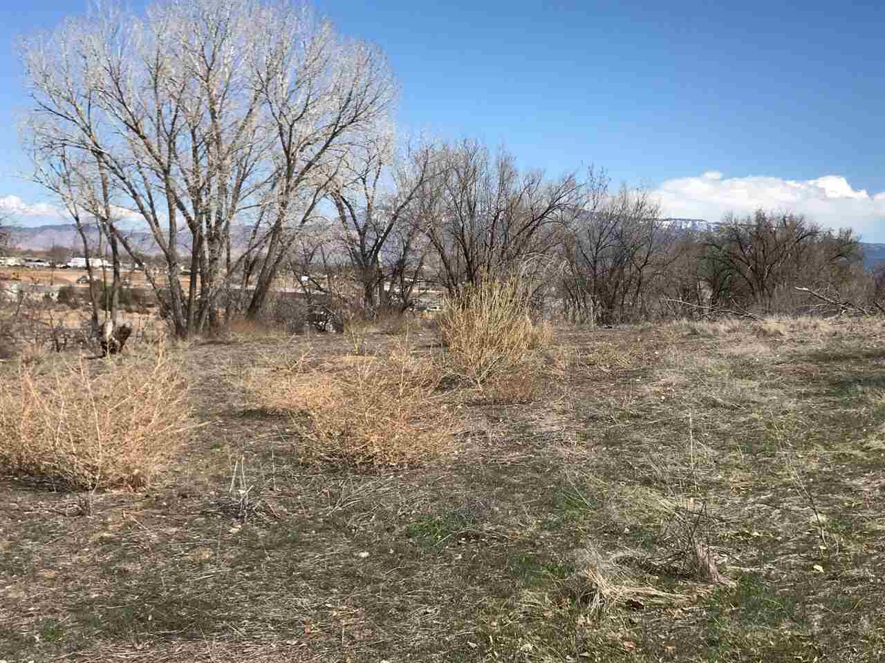 202 27 1/2 Road Grand Junction, CO 81503 - Photo 1 of 5 Gallery Image 1