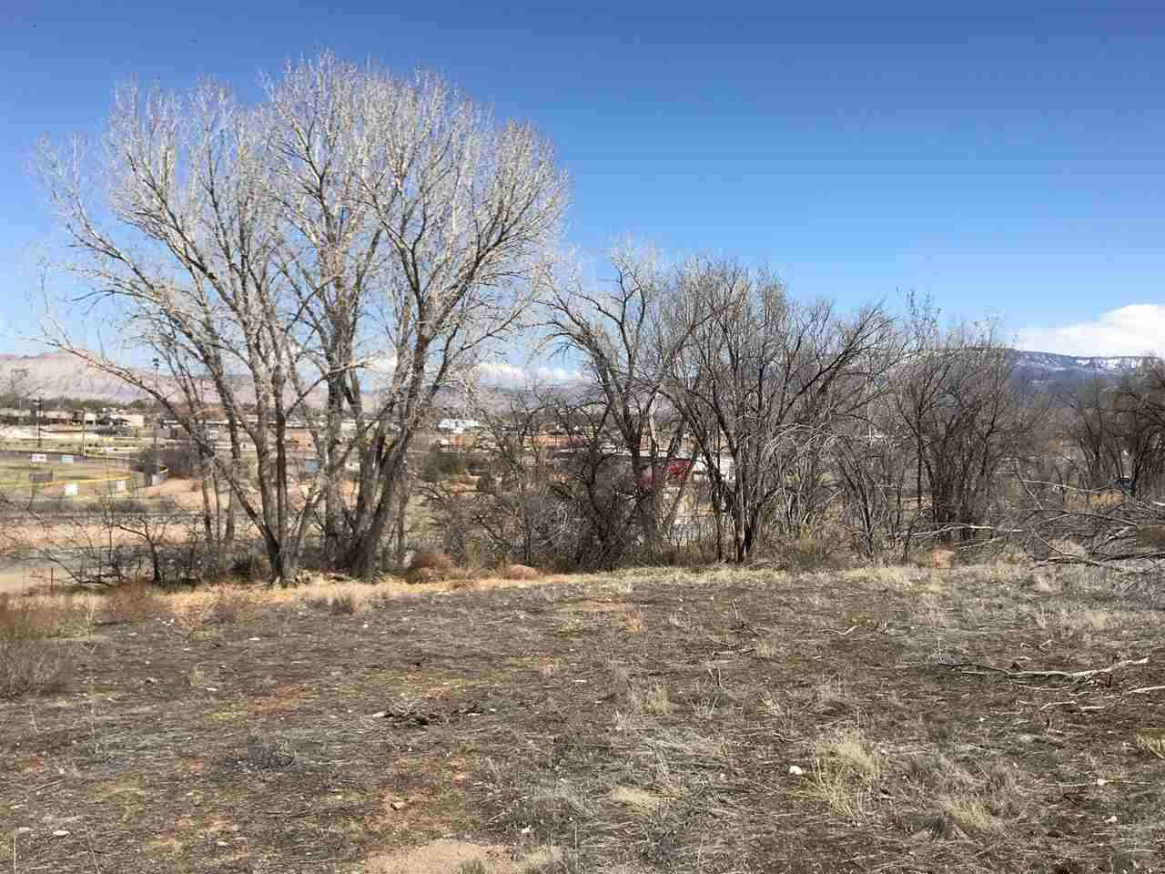 202 27 1/2 Road Grand Junction, CO 81503 - Photo 4 of 5 Gallery Image 4
