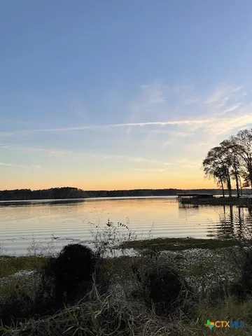 a view of a lake from a yard