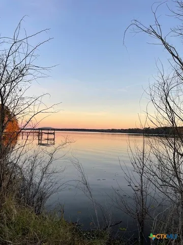 a view of a dry yard with an trees