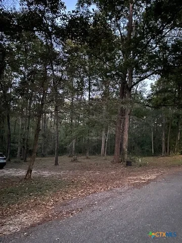 a view of outdoor space with trees