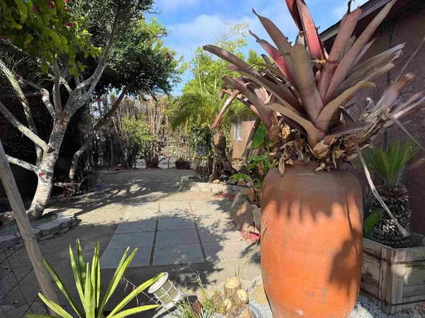 a view of a backyard of the house