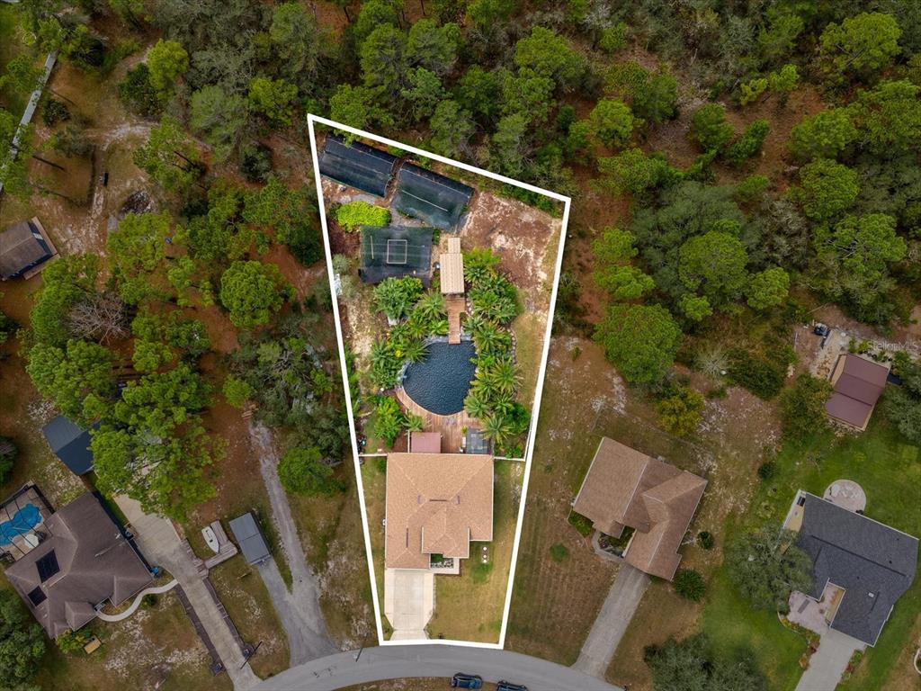 9027 Mavis Road Weeki Wachee, FL 34613 - Photo 41 of 42