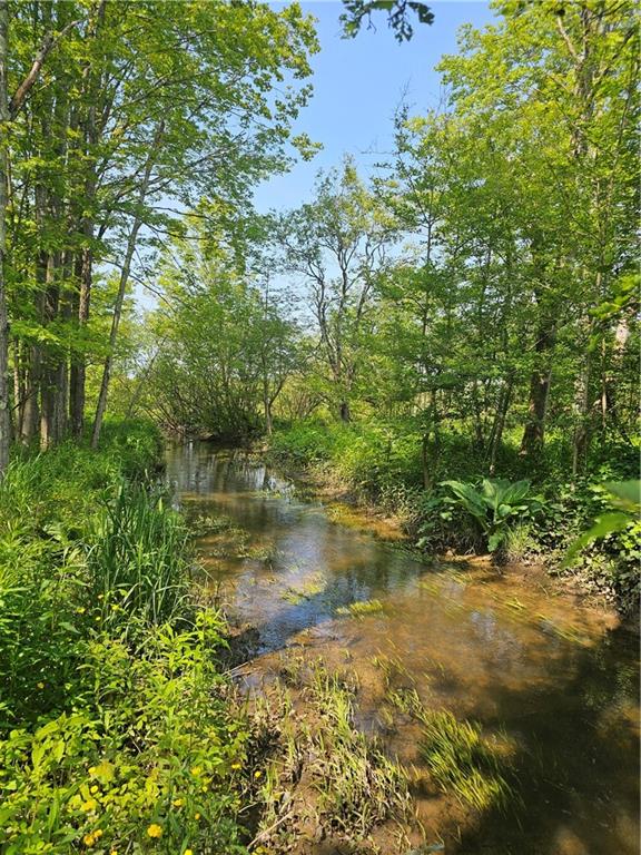565 Monument Road Central City, PA 15926 - Photo 11 of 17 Gallery Image 11