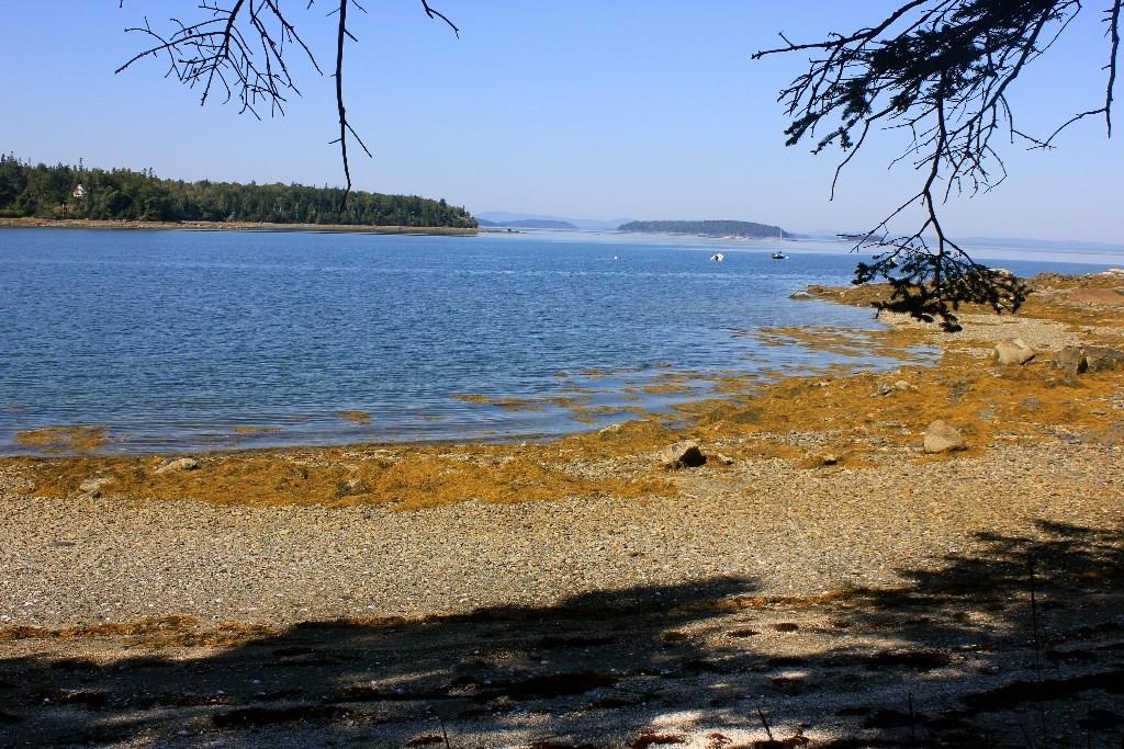 174 Dow Road Deer Isle, ME 04627 - Photo 7 of 21 Photo