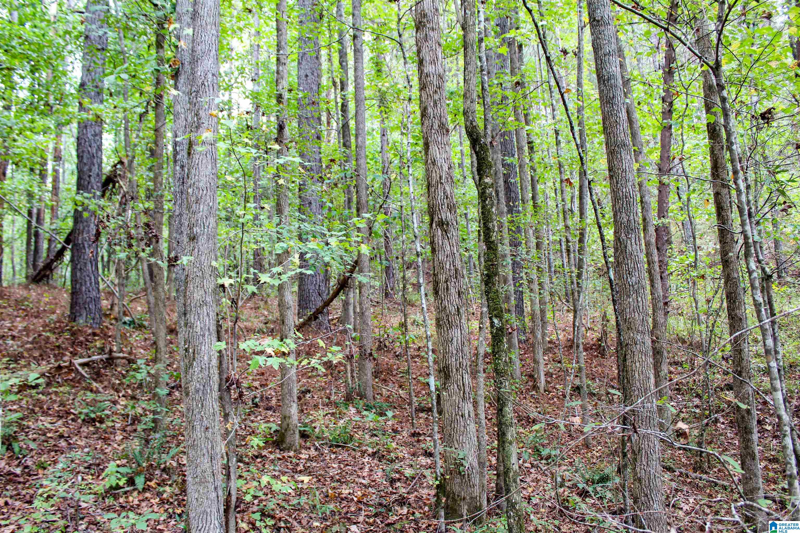 1 Highway 18, Unit 1 Oakman, AL 35579 - Photo 26 of 46
