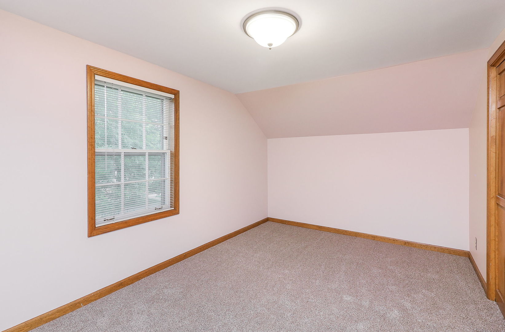 210 Spring Avenue Naperville, IL 60540 - Photo 6 of 19