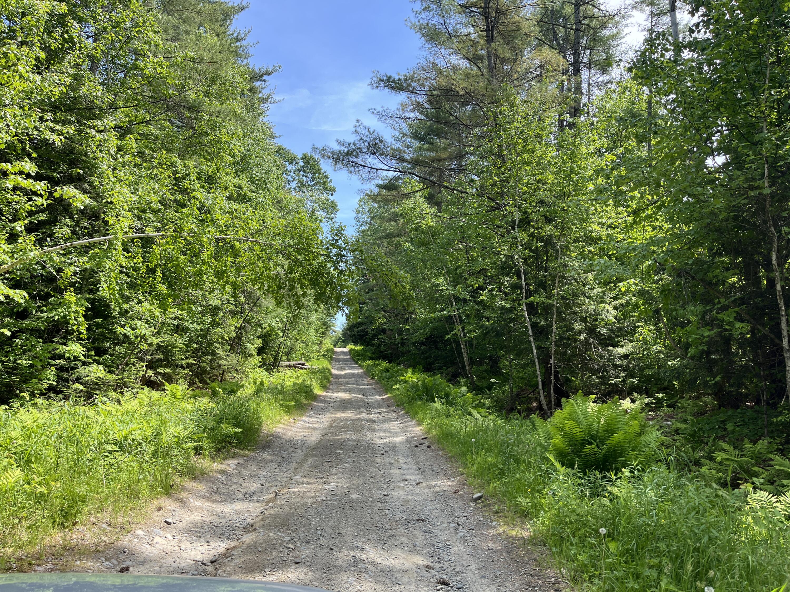 51 Sandy River Road Mercer, ME 04957 - Photo 41 of 44 road-to-lower-area_53876269805_o